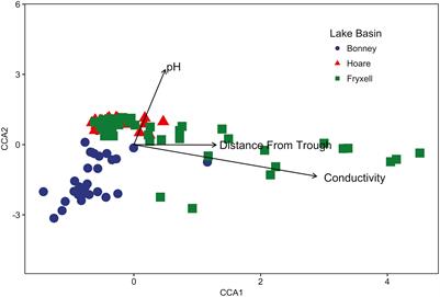 Local and Regional Scale Heterogeneity Drive Bacterial Community Diversity and Composition in a Polar Desert